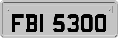 FBI5300