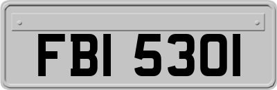 FBI5301