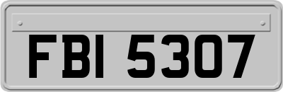 FBI5307