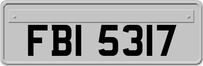 FBI5317