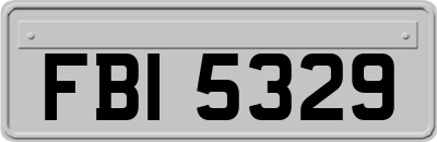 FBI5329