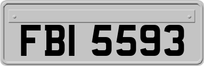 FBI5593