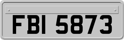 FBI5873