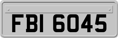 FBI6045