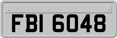 FBI6048