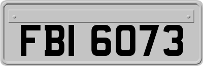 FBI6073