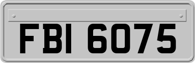 FBI6075