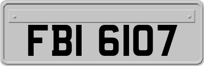 FBI6107