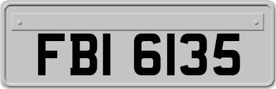 FBI6135