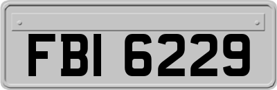 FBI6229