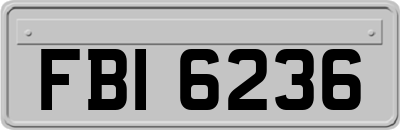 FBI6236