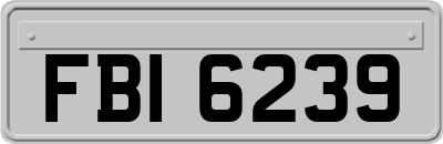 FBI6239