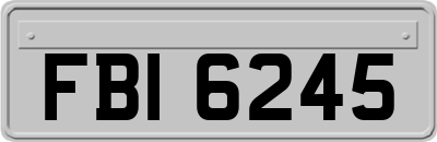 FBI6245