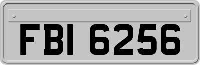 FBI6256