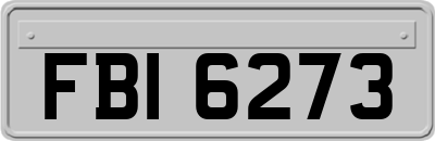 FBI6273