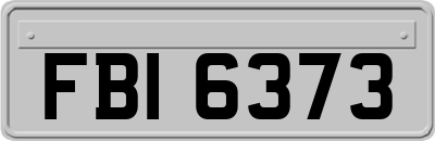 FBI6373