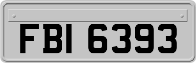 FBI6393
