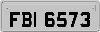 FBI6573