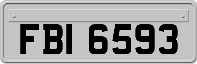 FBI6593