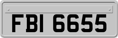 FBI6655