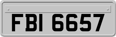 FBI6657