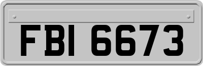FBI6673