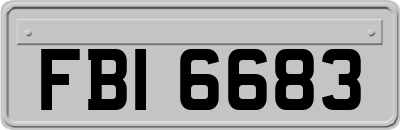 FBI6683