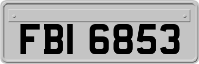 FBI6853