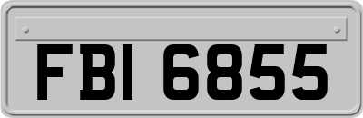 FBI6855