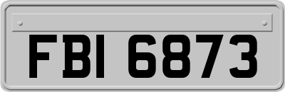 FBI6873