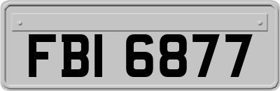 FBI6877