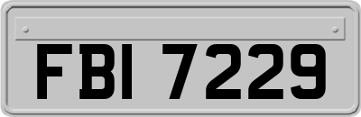 FBI7229