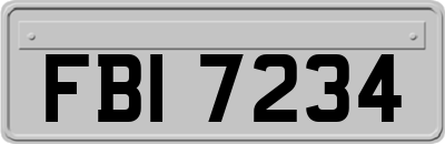FBI7234