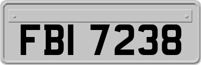 FBI7238