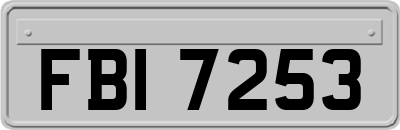 FBI7253
