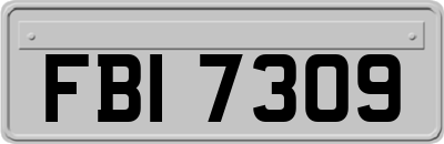 FBI7309