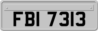 FBI7313