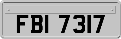FBI7317