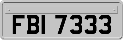 FBI7333