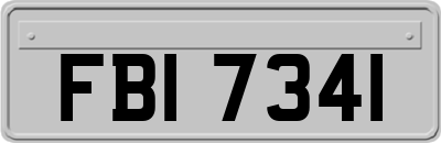 FBI7341