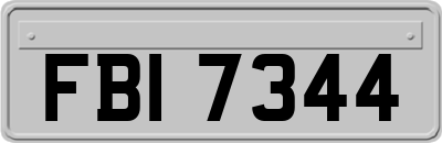 FBI7344