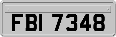 FBI7348