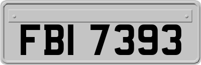 FBI7393