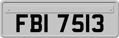 FBI7513