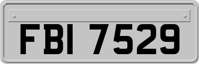 FBI7529