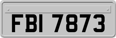FBI7873