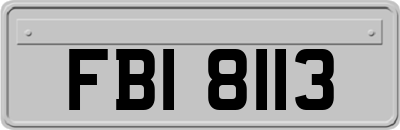 FBI8113