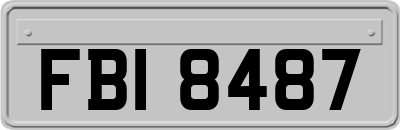 FBI8487