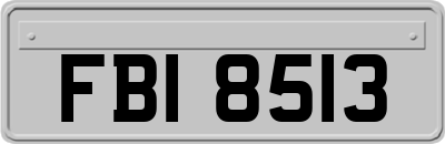 FBI8513