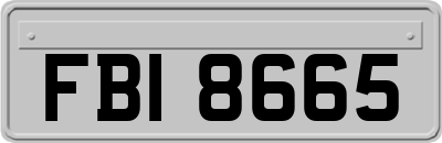 FBI8665